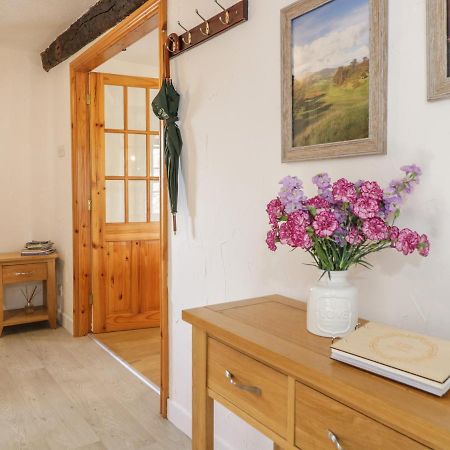 Cyffdy Cottage - Tegid Bala Dış mekan fotoğraf