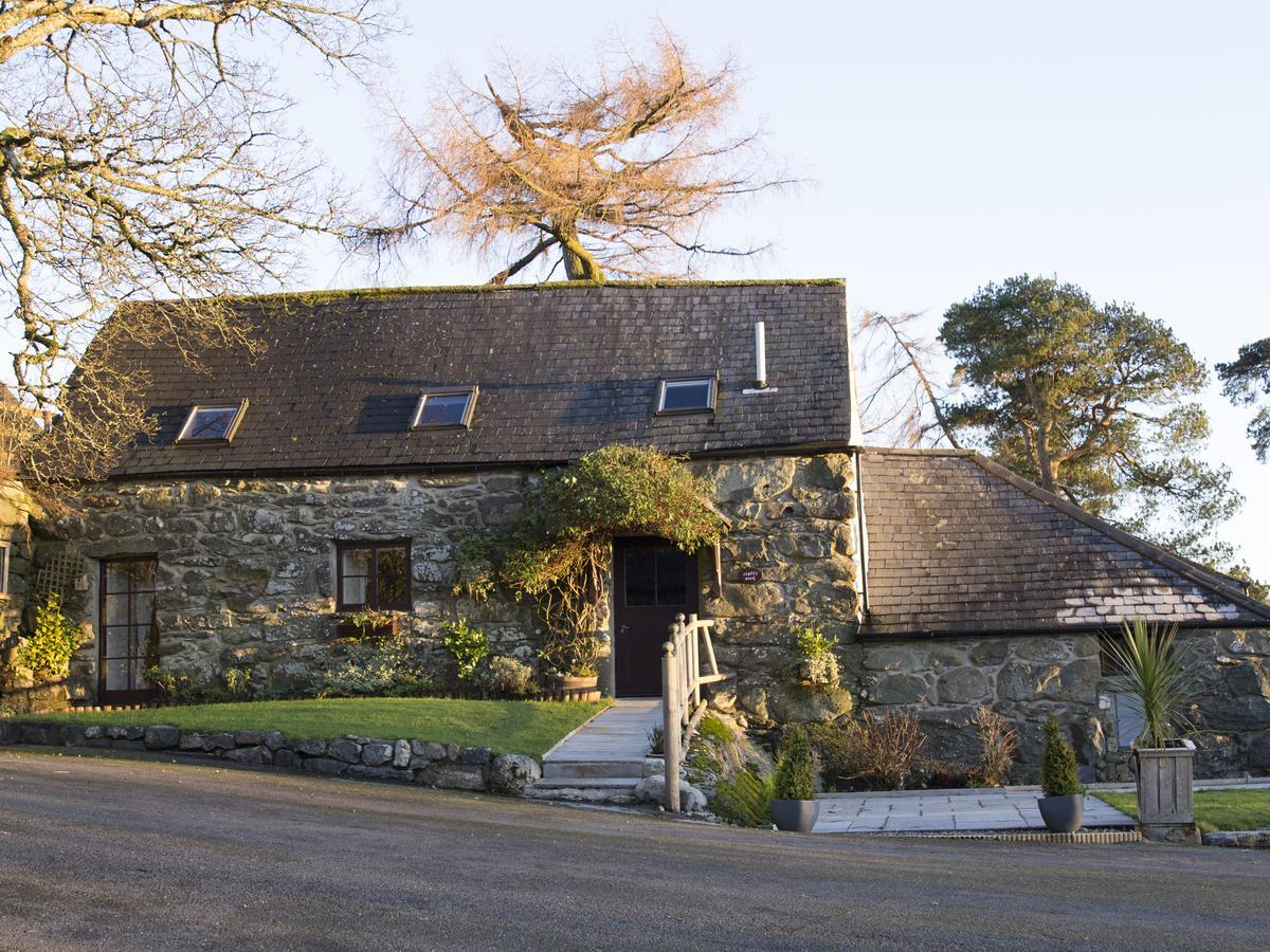 Cyffdy Cottage - Tegid Bala Dış mekan fotoğraf